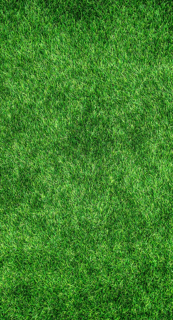 services-02 grass, lawn, garden, nature, park, ground, green, surface, beautiful wallpaper, texture, background, iphone wallpaper