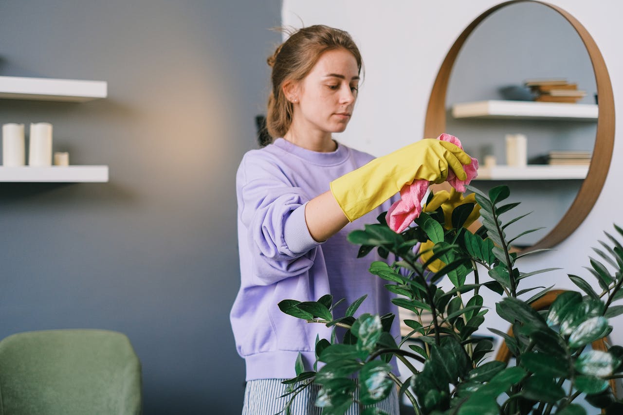 about-02 A woman tending to a houseplant indoors, using gloves and a cloth for cleaning.